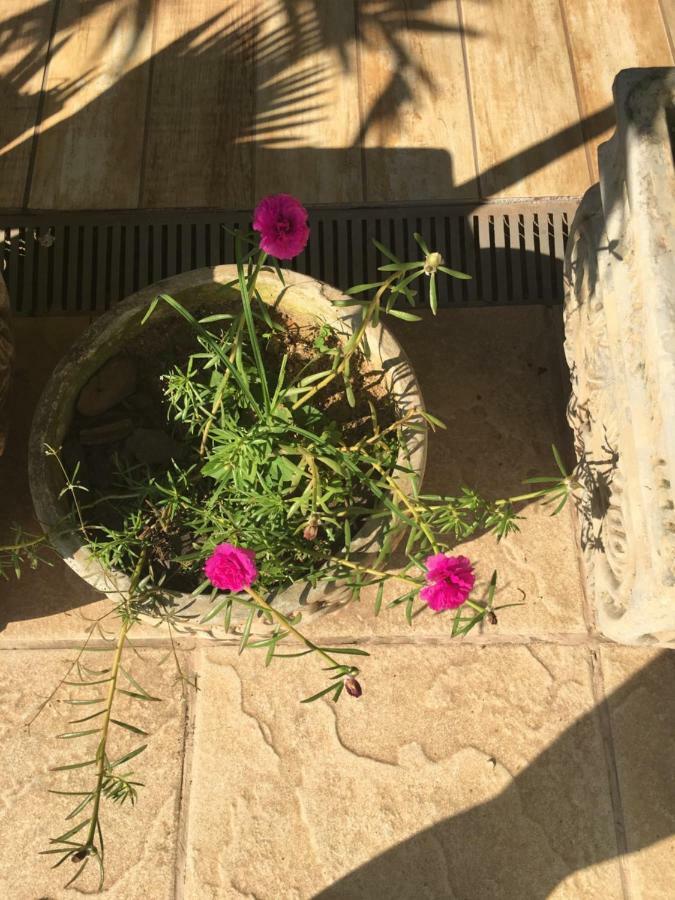 Pousada Florestinha Tamoios Exteriör bild